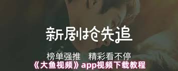 大鱼视频app如何进行视频下载——大鱼视频app的下载操作指南

