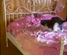 高手在打球时,主要依靠一个边缘擦碰的技巧_动图_是否意味着需要选用最短的牙签? 高手在打球时,主要依靠一个边缘擦碰的技巧_动图_是否意味着需要选用最短的牙签?