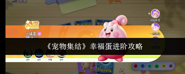《宠物集结》中幸福蛋的进阶指南详解