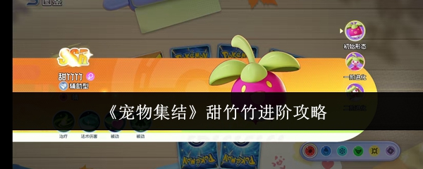 《宠物集结》甜竹竹的升级指南