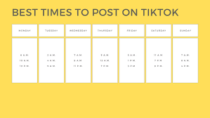 如何查看抖音热门内容的发布时间-抖音热门视频发布时间的查找技巧 如何查看抖音热门内容的发布时间-抖音热门视频发布时间的查找技巧