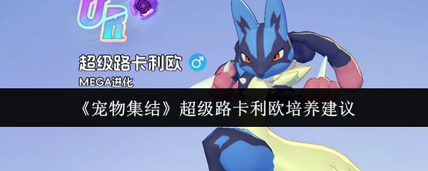 《宠物集结》中超级路卡利欧的养成指南