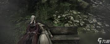 《艾尔登法环》里，黑夜君临的执行者到底藏有哪些鲜为人知的玩法？——一探执行者的独特玩法合集
