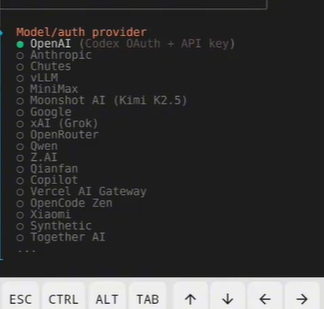 OpenClaw在手机端的部署指南