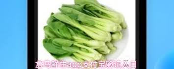 如何在盒马鲜生应用中激活支付宝身份验证——详细步骤指南
如何在盒马鲜生应用中激活支付宝身份验证——详细步骤指南