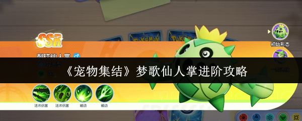 《宠物集结》梦歌仙人掌升级指南：逐步进阶详解
