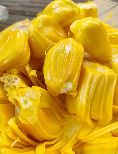 菠萝蜜在线视频