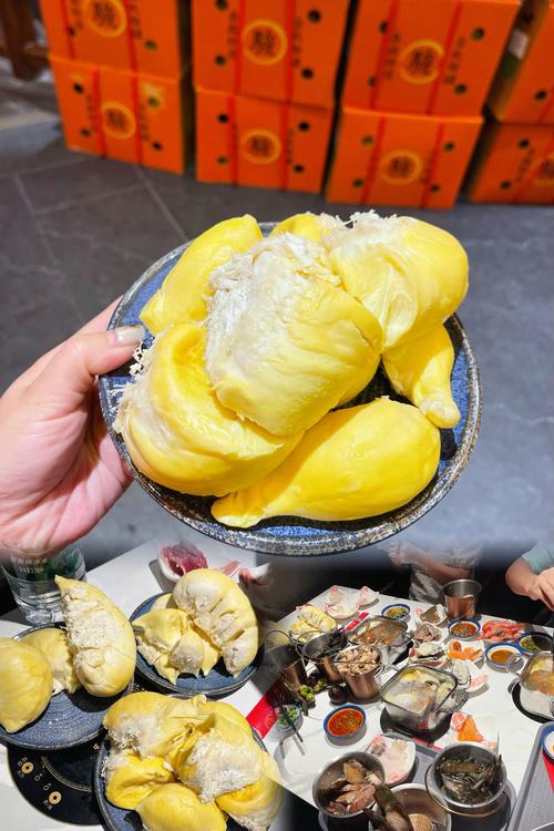 xrk1_3_0ark榴莲无限观看