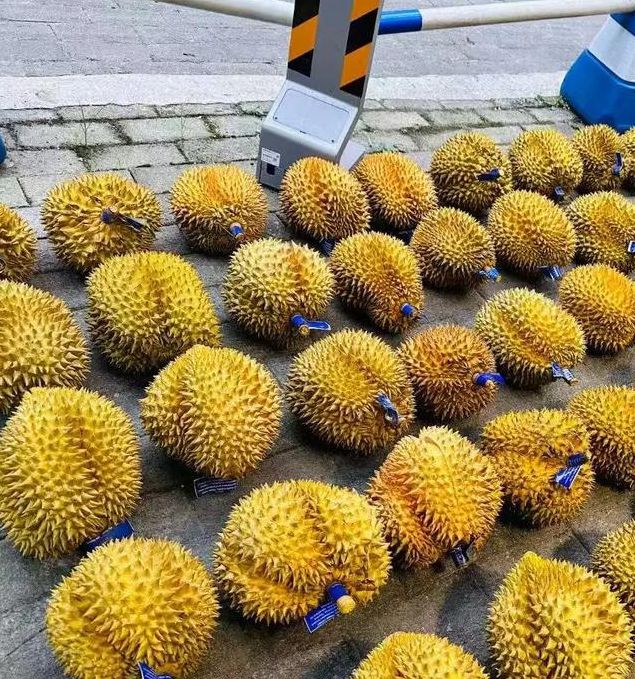 xrk1_3_0ark榴莲无限观看