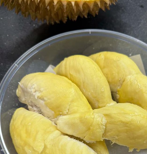 xrk1_3_0ark榴莲无限观看