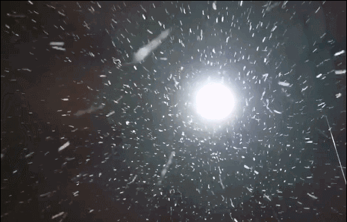 飘雪在线高清免费观看视频