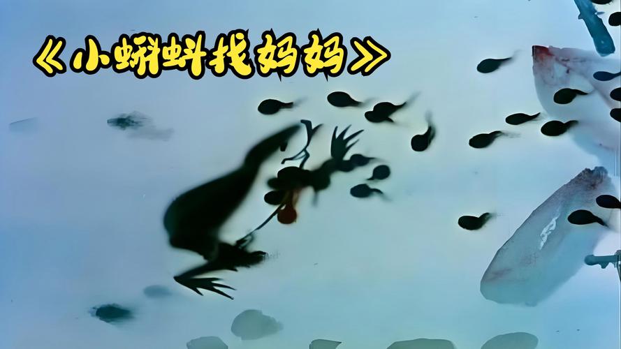小蝌蚪视频在线观看免费