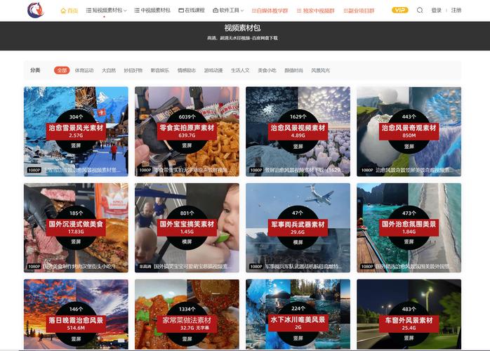 猪八短视频网址