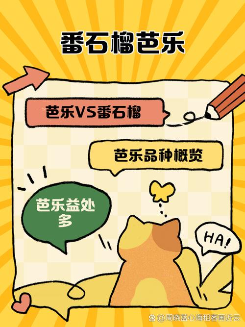 小蝌蚪榴莲芭乐app