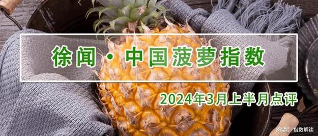 福建大菠萝导航2023导入weloccm