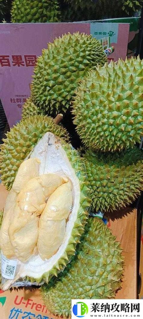 ll999榴莲让你流连忘返解锁ios