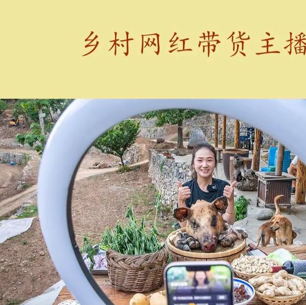 直播之悠闲山村生活