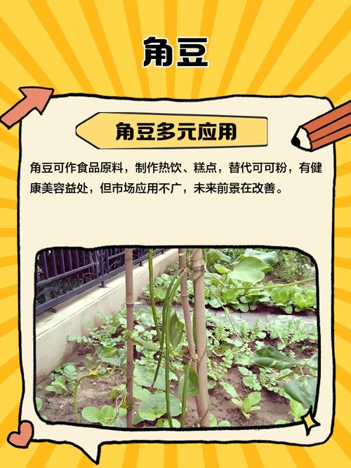 japonensisjava豆角网