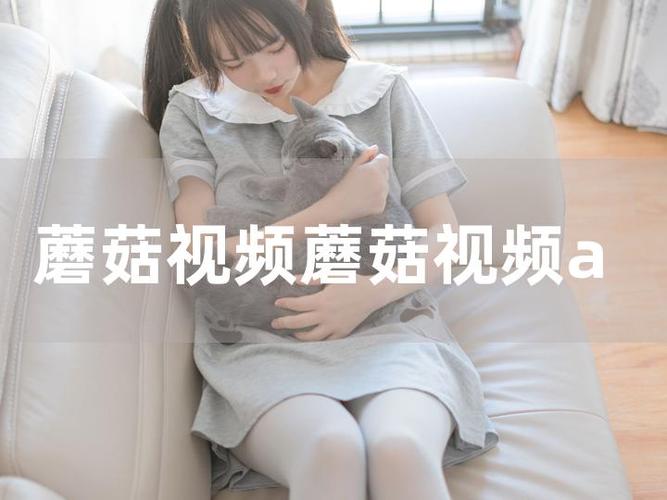 香菇视频app在线下载