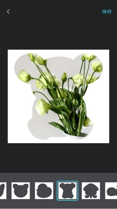 宠物日常记录官方版