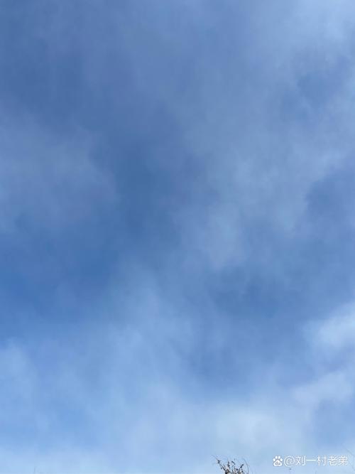 天空视频在线观看高清