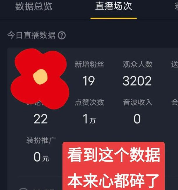 个人做直播挣钱吗