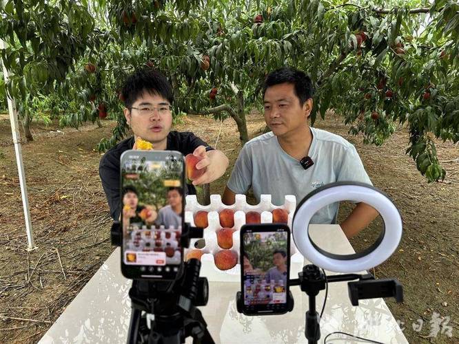 9612黄桃网站进入页面直播