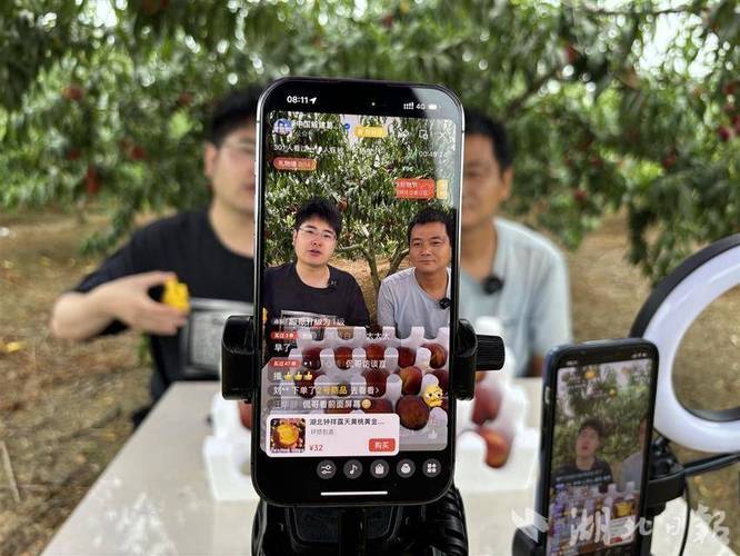 9612黄桃网站进入页面直播