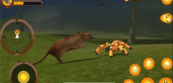 疯狂老鼠王2021版