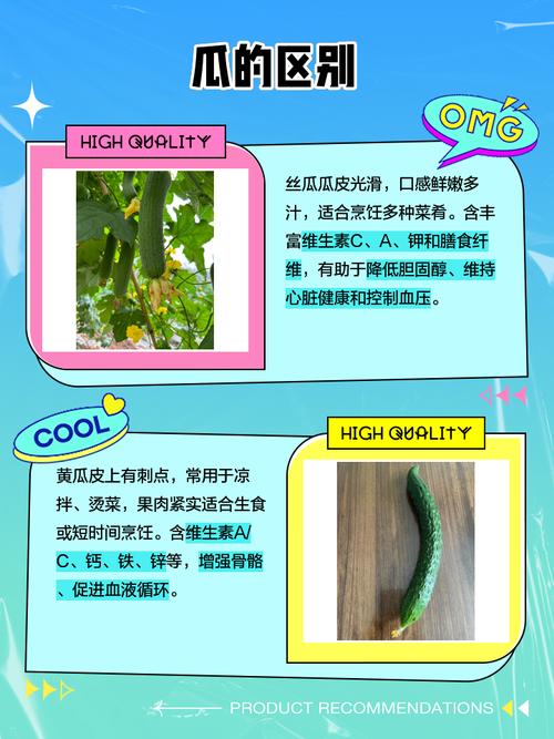 丝瓜草莓香草芭乐向日葵秋葵黄瓜幸福宝