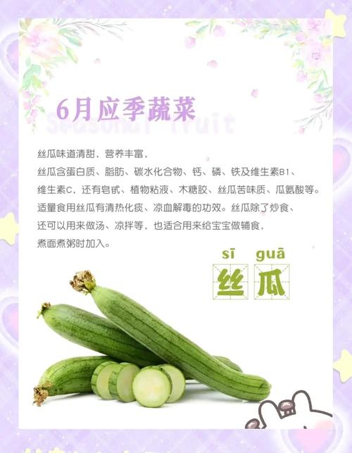 丝瓜草莓香草芭乐向日葵秋葵黄瓜幸福宝
