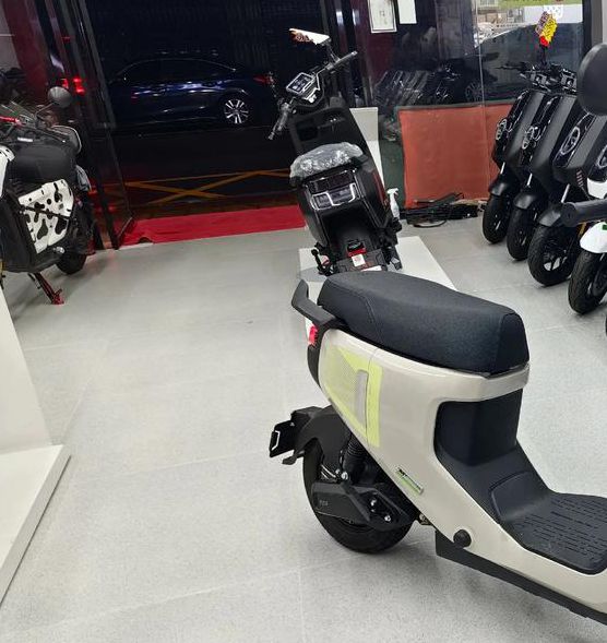 小牛直播最新版