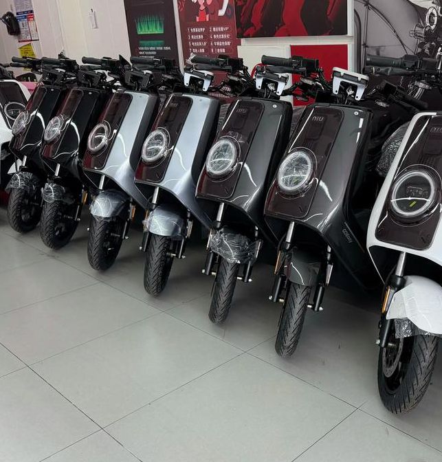 小牛直播最新版