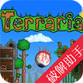 泰拉瑞亚盒子修改器