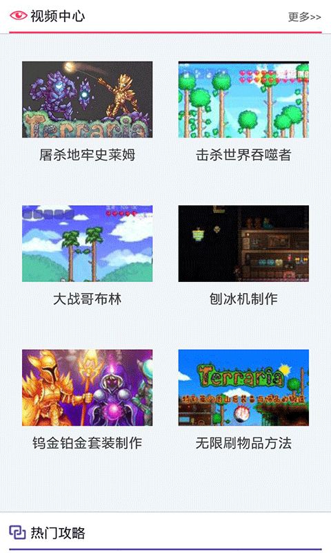 泰拉瑞亚盒子修改器