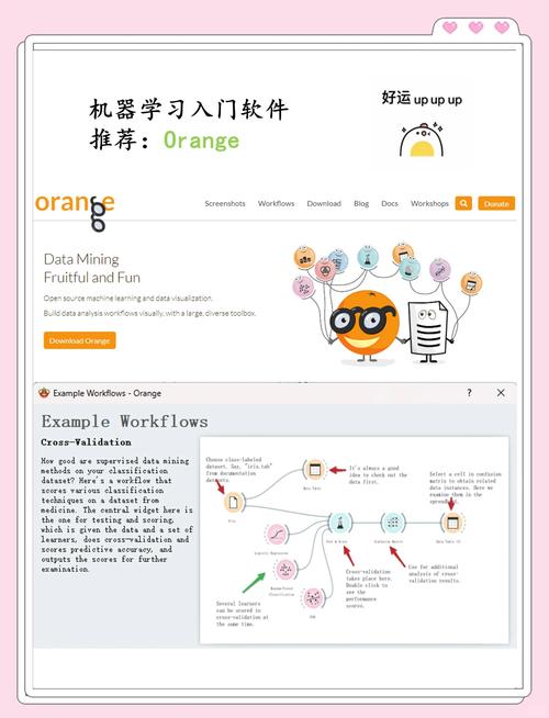 橘黄色软件APP排行前10