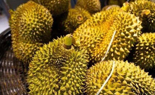 太阳视频榴莲视频绿巨人安卓版