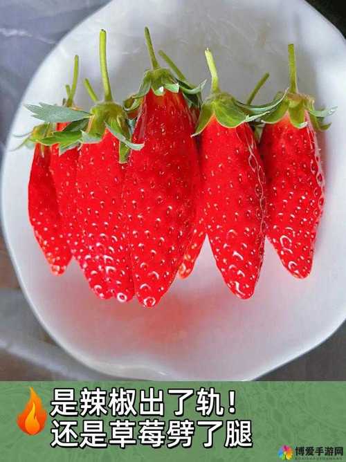 香蕉丝瓜草莓榴莲茄子绿巨人最新版