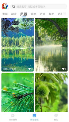 小鸟壁纸app安卓版