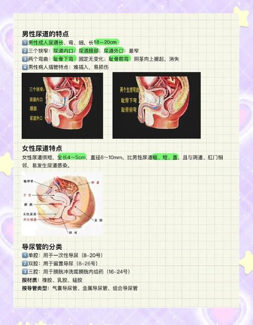 潮喷了要尿了18p护士不带套