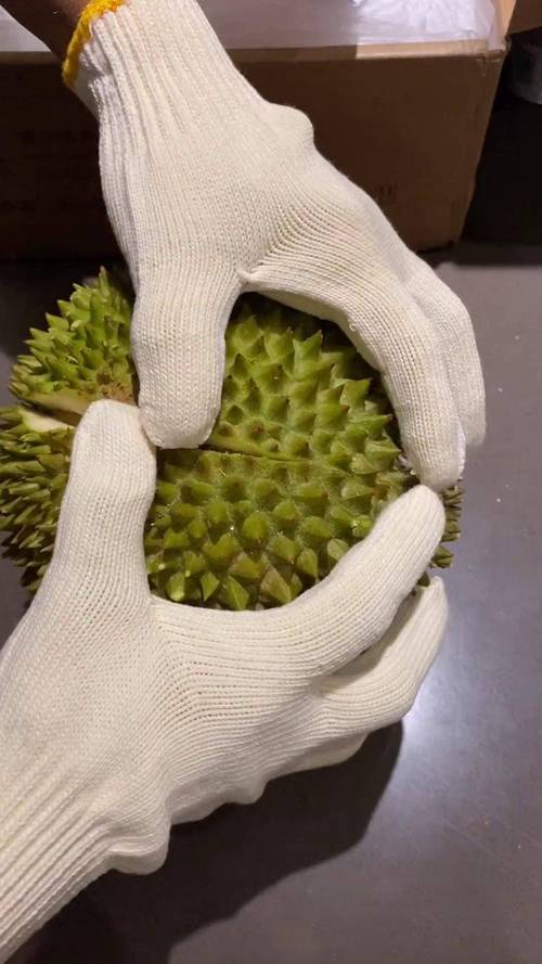 榴莲直播平台官方苹果