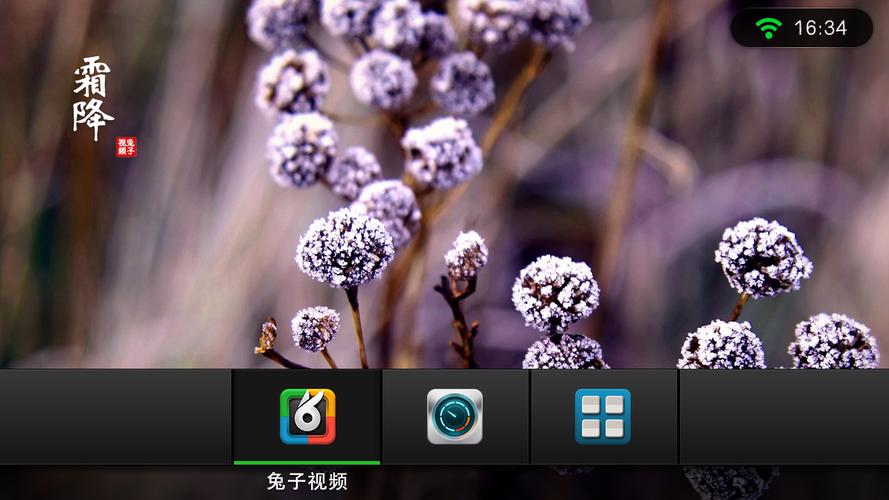 兔子视频安卓版