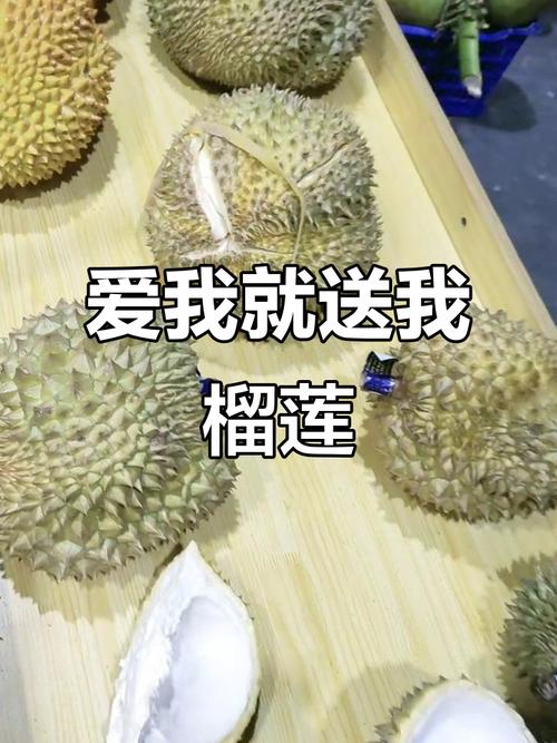 ll999榴莲让你流连忘返18.4