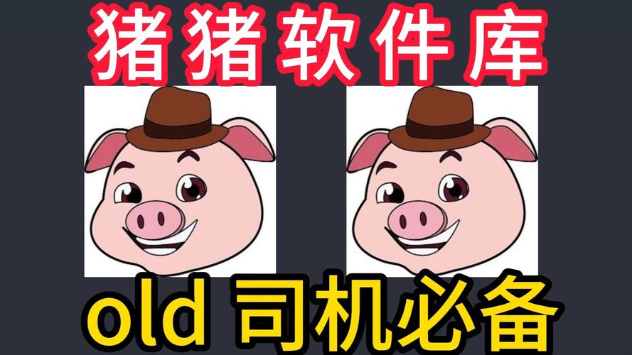 多多小猪免费版