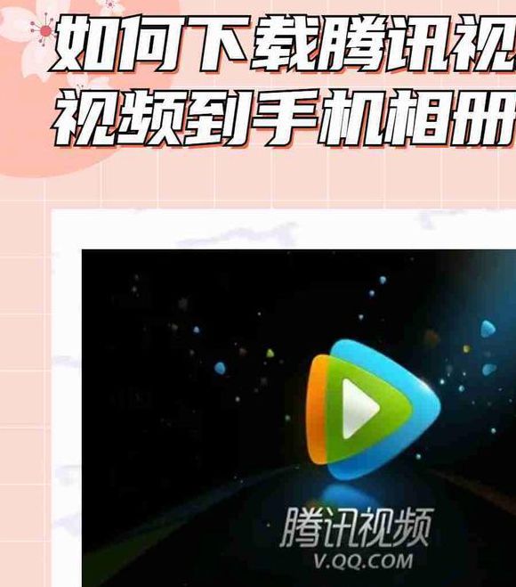 N视频手机版