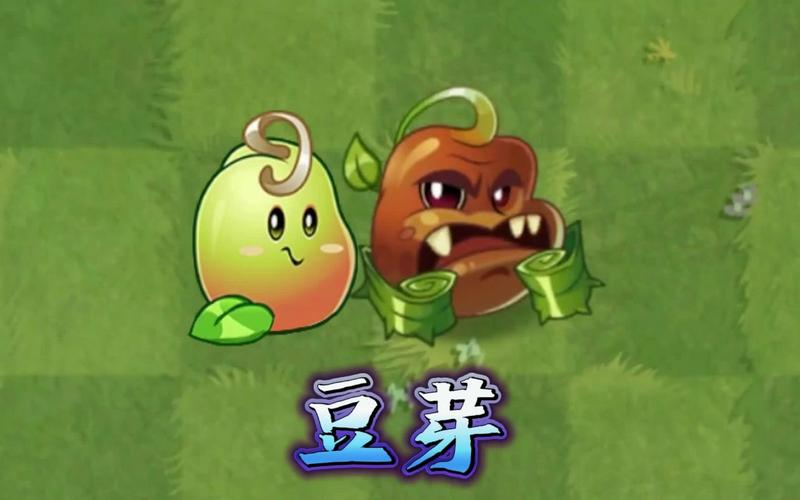 豆芽视频app苹果下载安装