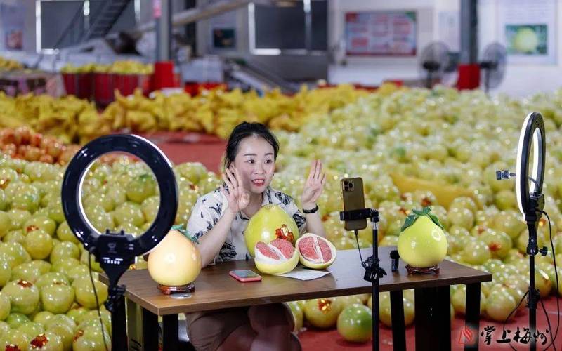 跳动的柚子直播