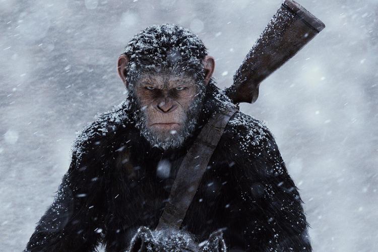 猩球崛起1在线观看免费