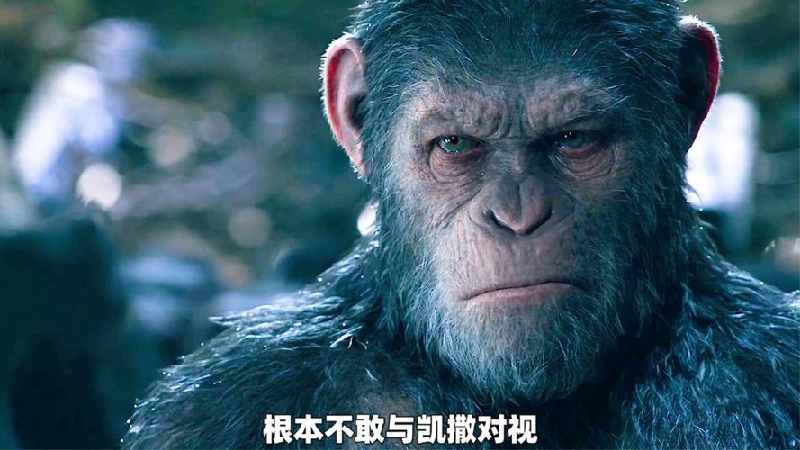 猩球崛起1在线观看免费