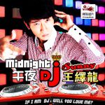 午夜dj在线观看不下载